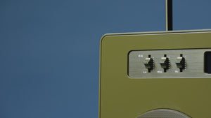 [[krem/brun]] [[Grønn]]